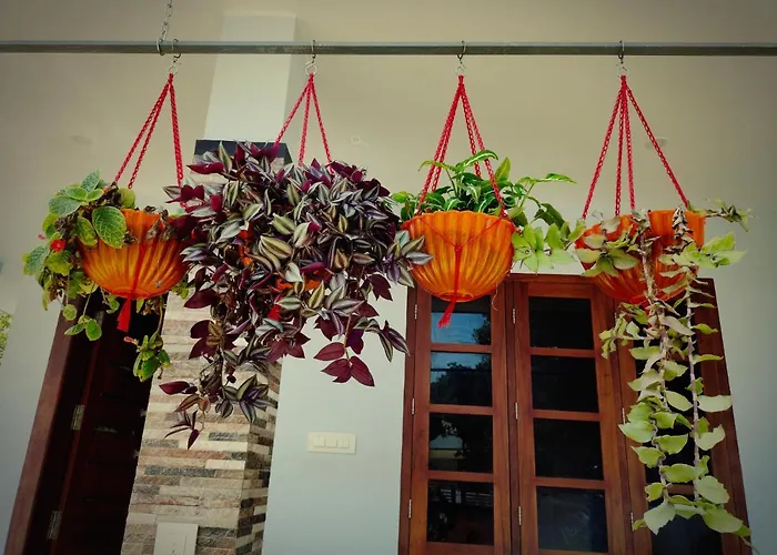 Malhar Marari Homestay